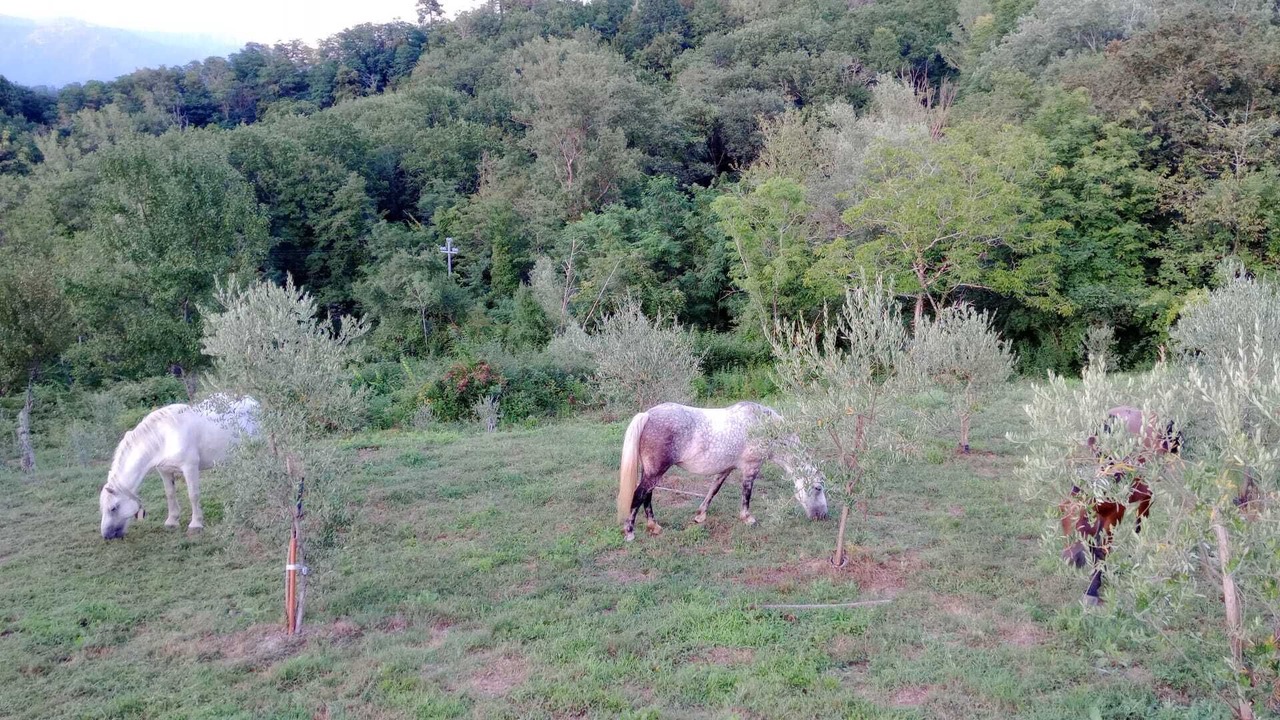 Photo of Outdoor in Tresana