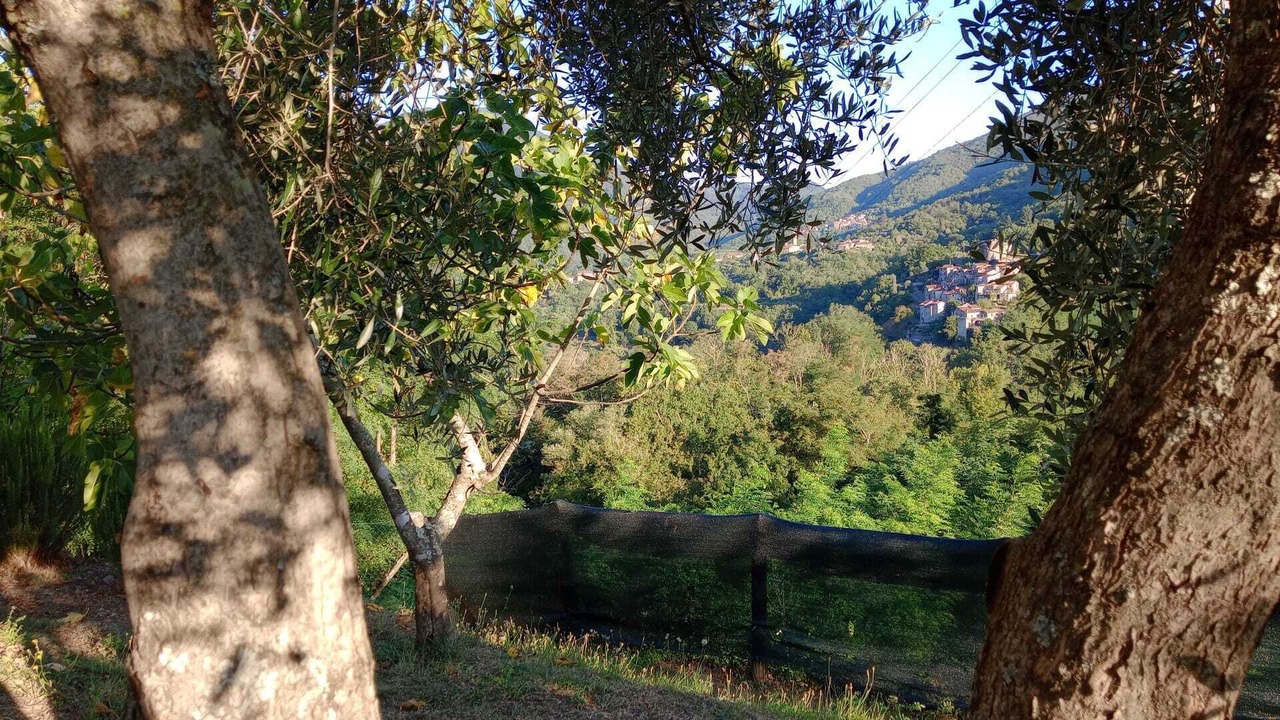 Photo of Outdoor in Tresana