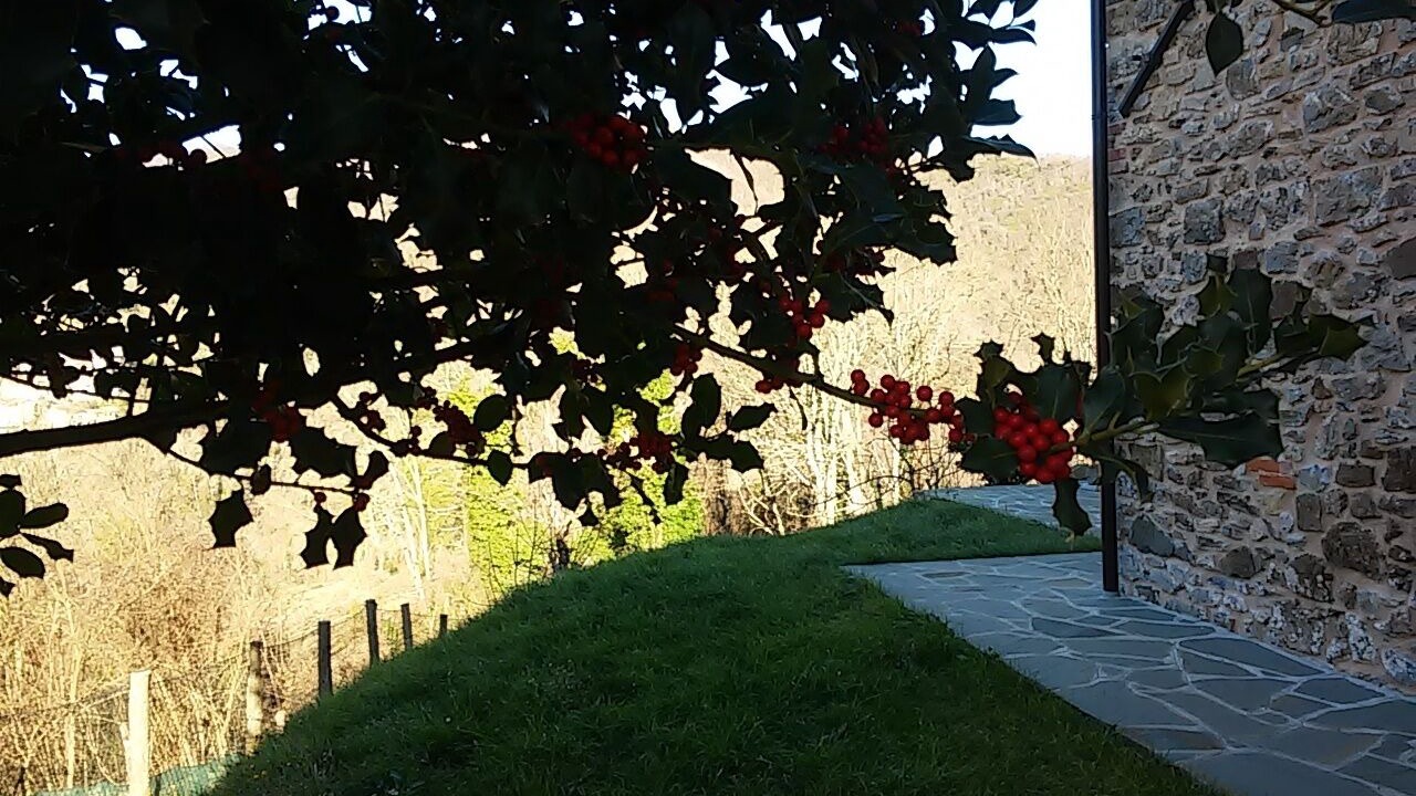 Photo of Outdoor in Tresana
