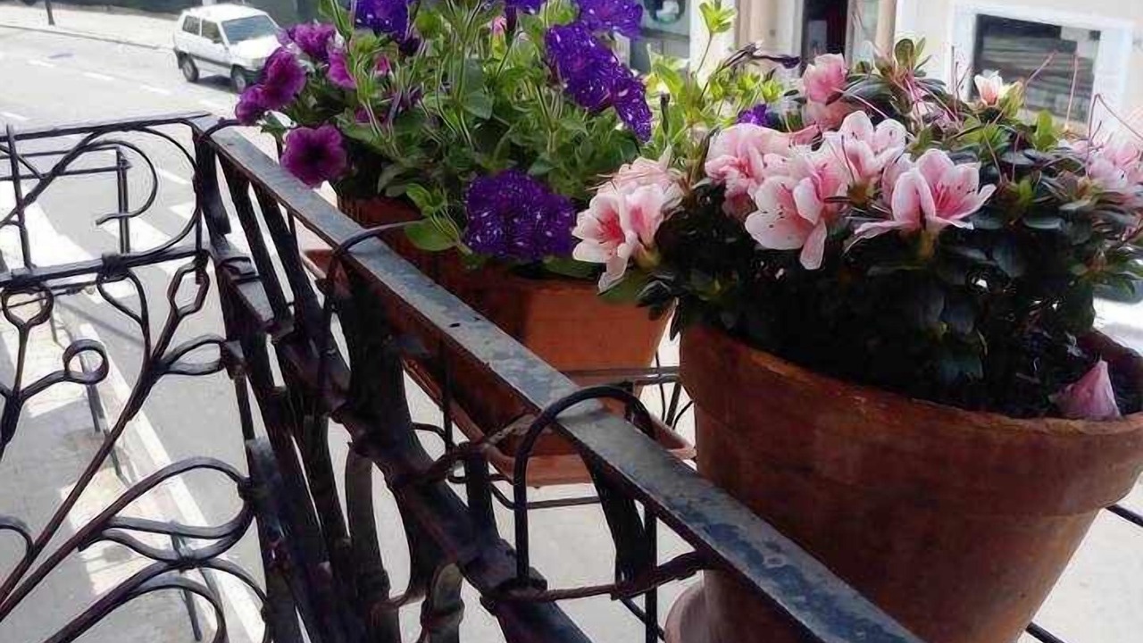 Photo of Outdoor in Olbia City Centre
