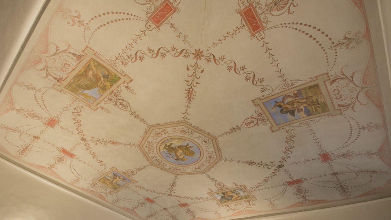 Photo of Others in Siena Historical Center