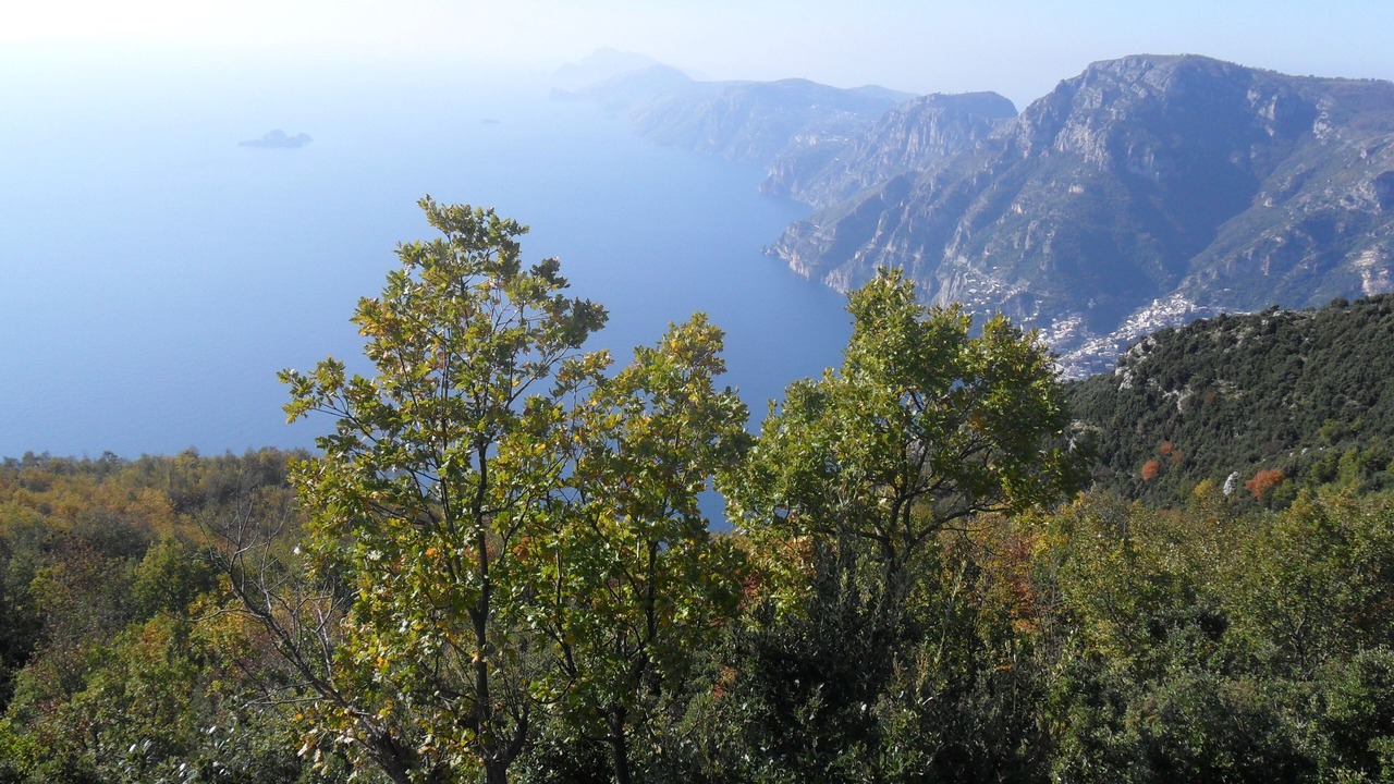 Photo of Outdoor in San Lazzaro