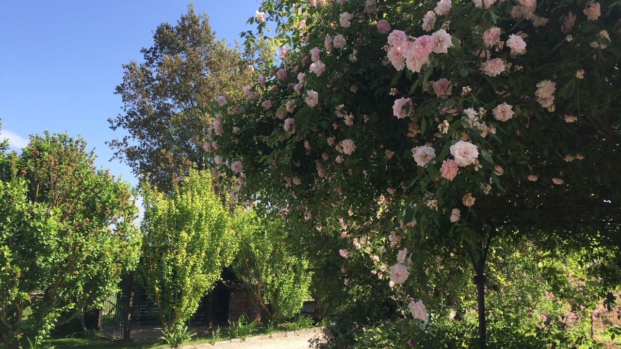 Photo of Outdoor in Paciano