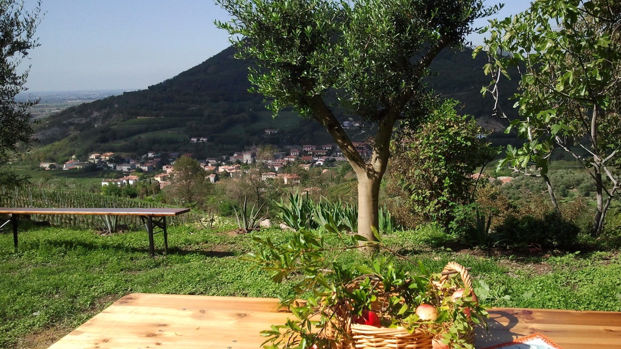 Photo of Outdoor in Cornoleda
