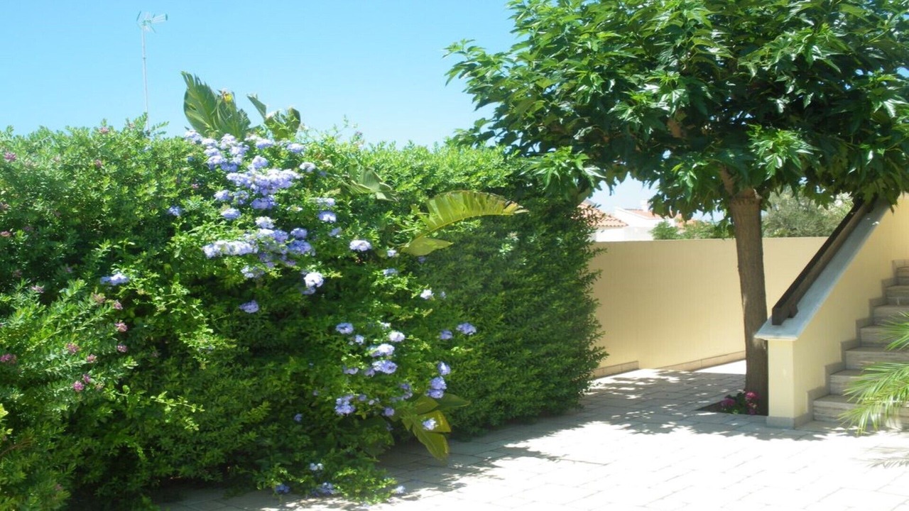 Photo of Outdoor in Torre Suda