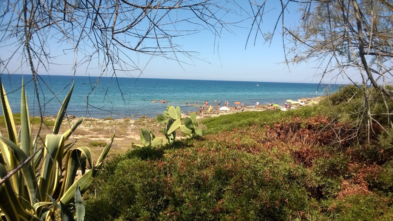 Photo of Others in Torre Suda
