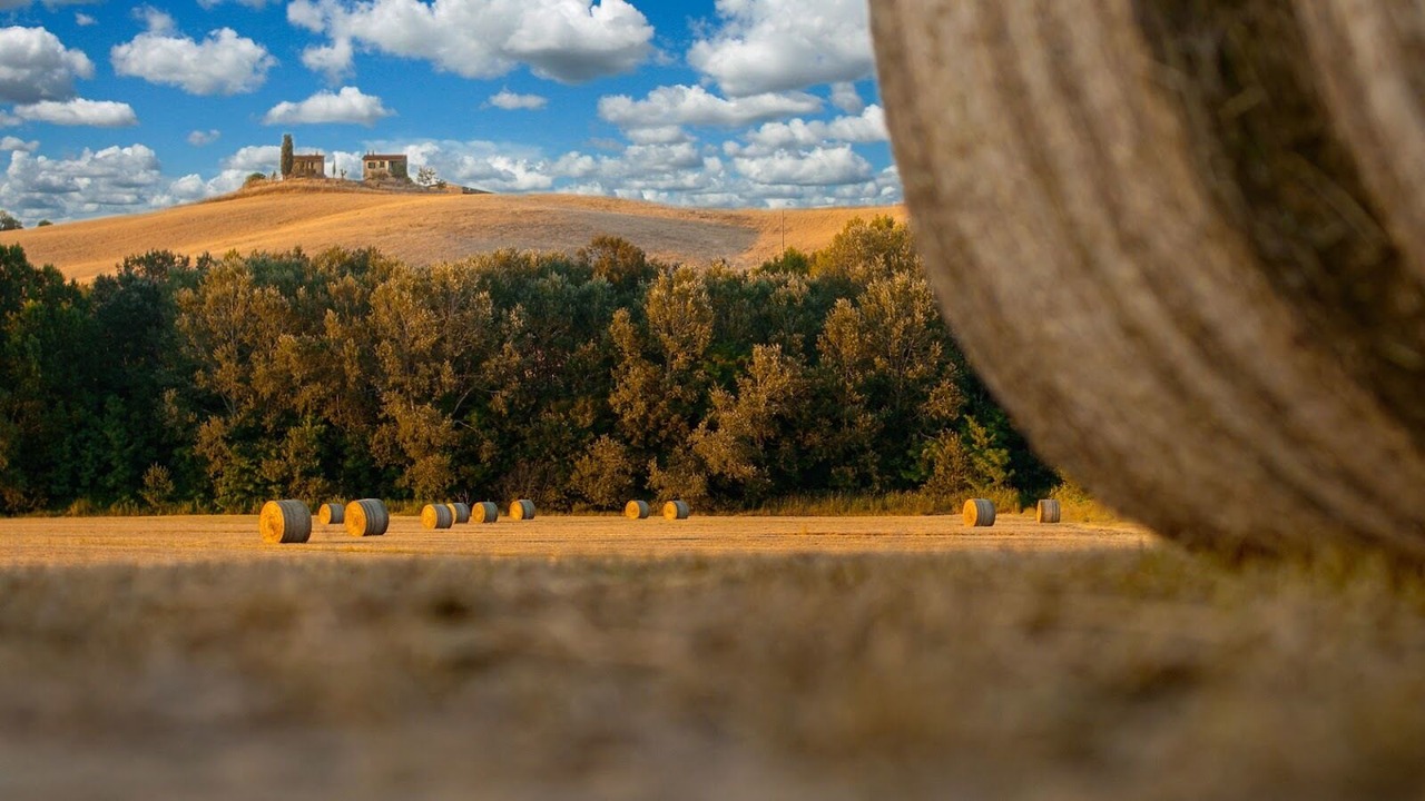 Photo of Outdoor in Montaione