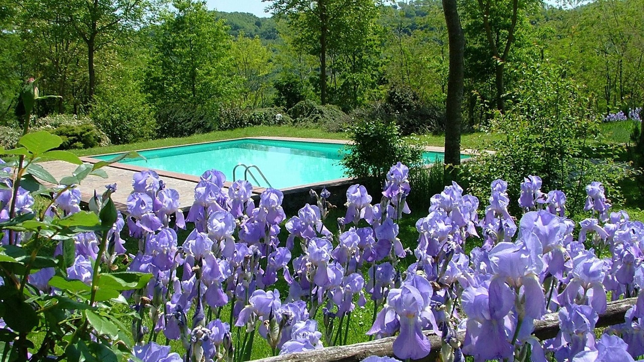 Photo of Outdoor in Proceno