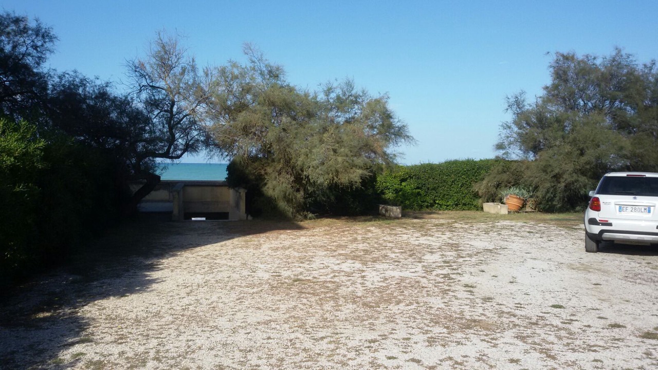 Photo of Outdoor in Donoratico