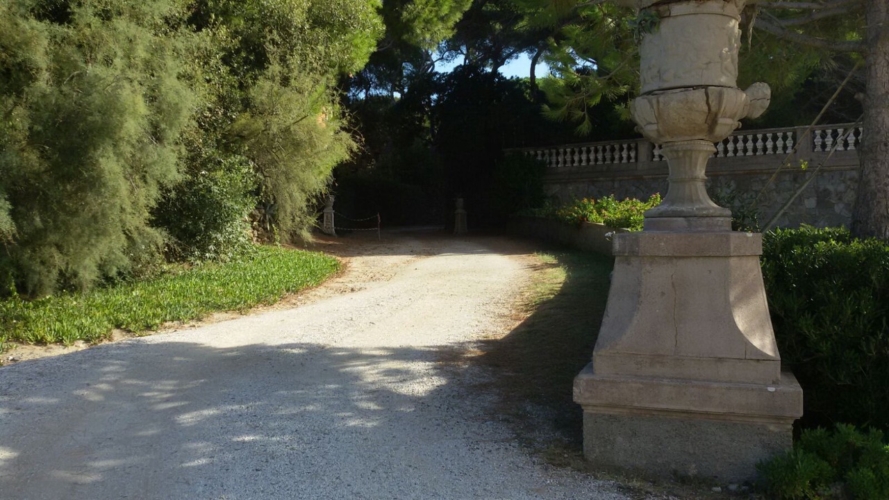 Photo of Outdoor in Donoratico