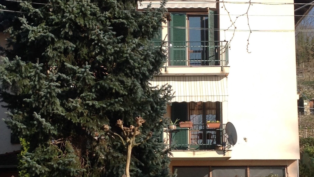 Photo of Outdoor in Viverone