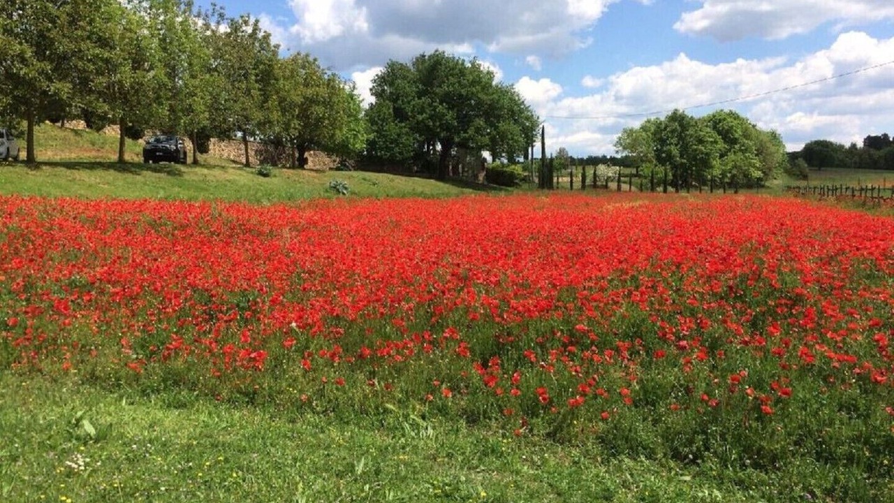 Photo of Outdoor in Poggiarello