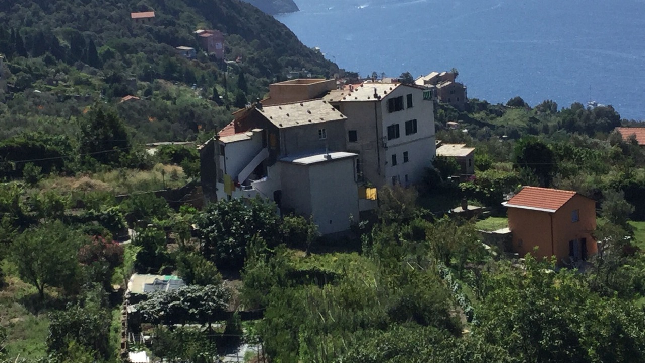 Photo of Outdoor in Framura