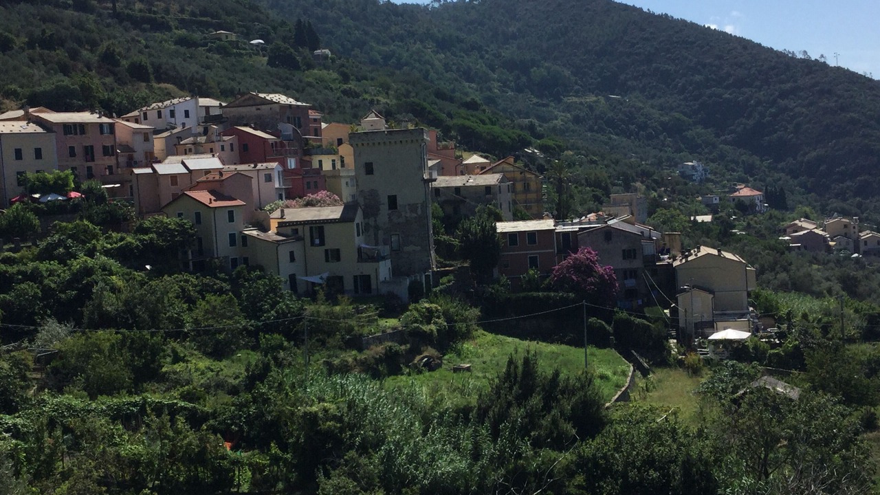 Photo of Outdoor in Framura