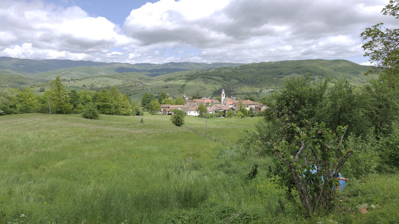 Photo of Outdoor in Albareto