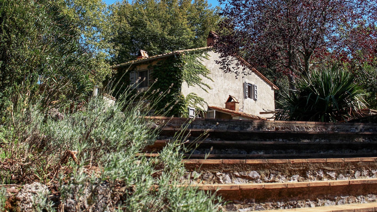 Photo of Outdoor in Boccheggiano
