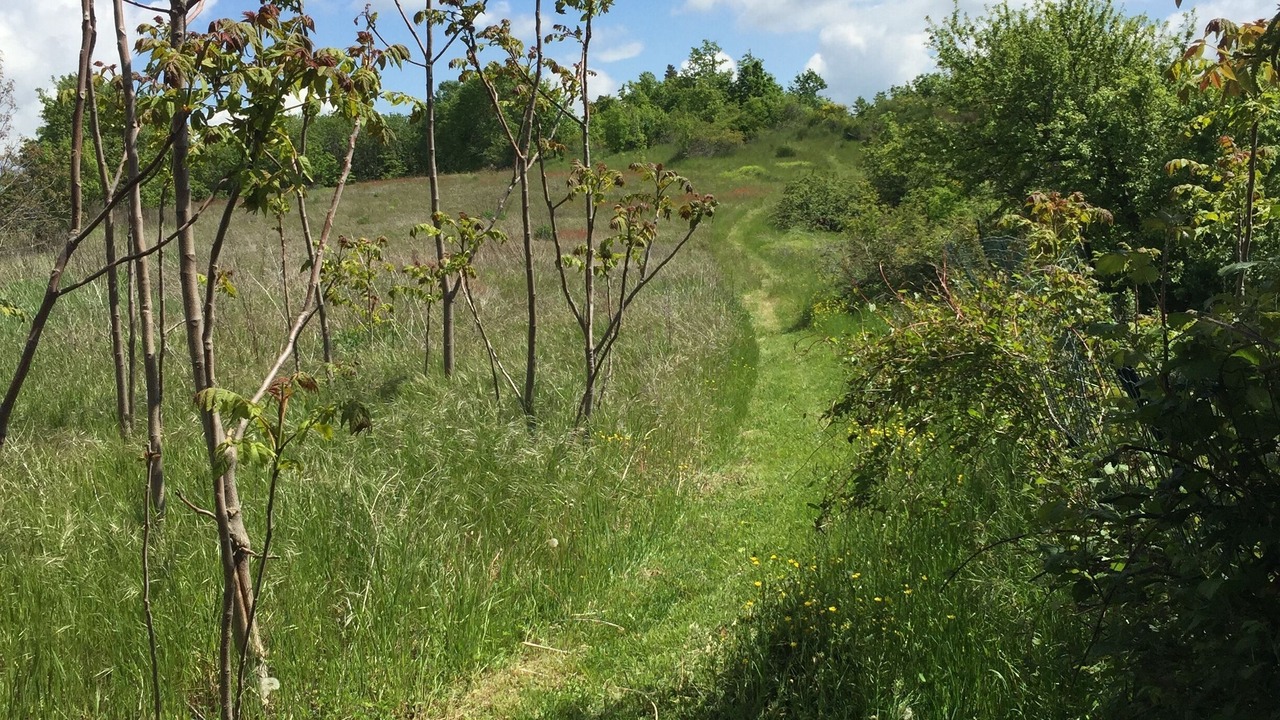 Photo of Outdoor in Cessole