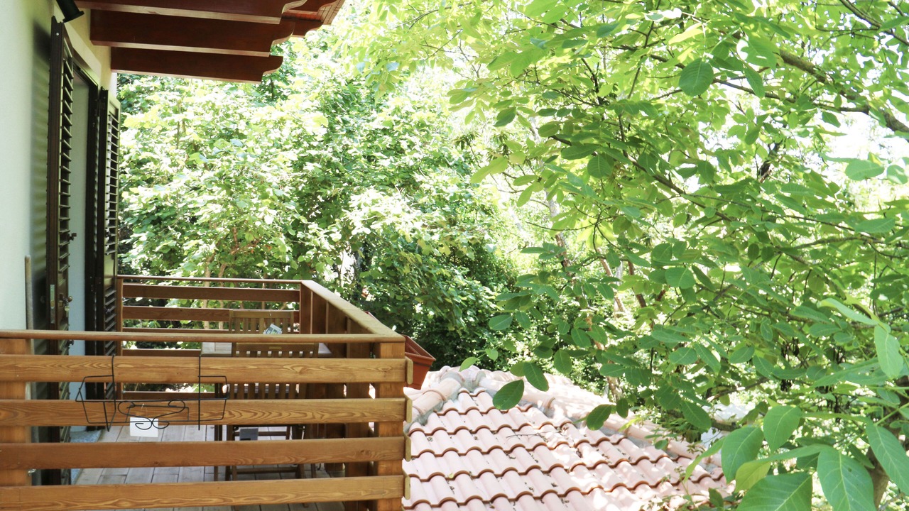 Photo of Outdoor in Aritzo