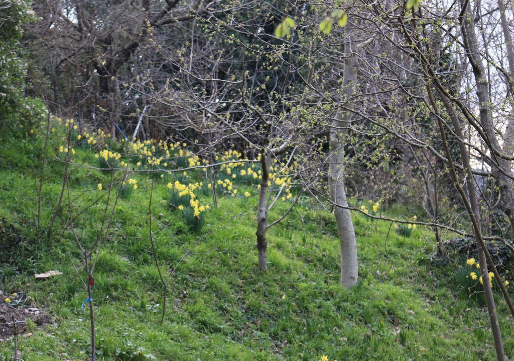 Photo of Outdoor in Aritzo