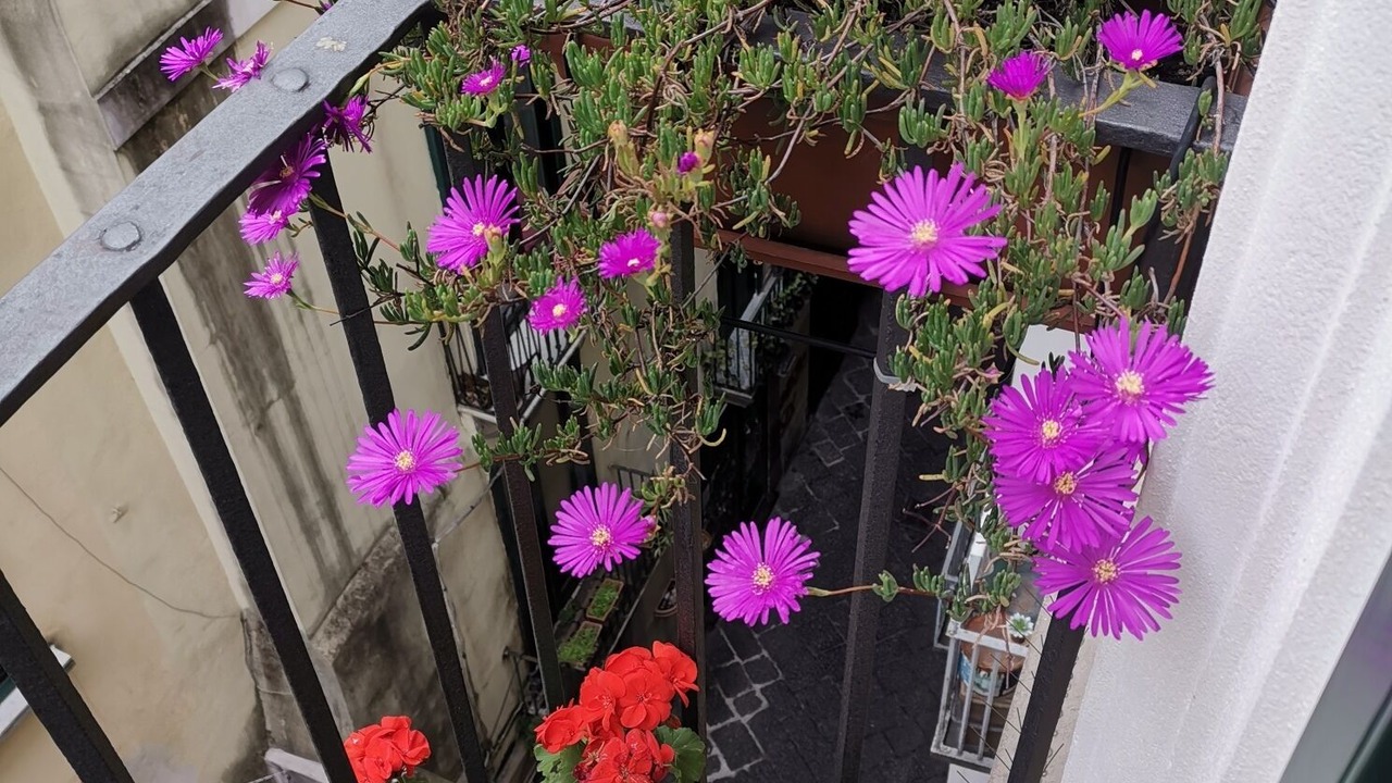 Photo of Outdoor in Historical Downtown Salerno