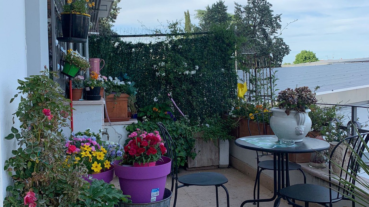 Photo of Outdoor in San Bonifacio