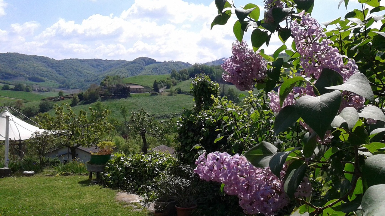 Photo of Outdoor in Salsomaggiore Terme