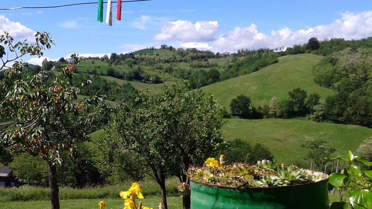 Photo of Outdoor in Salsomaggiore Terme