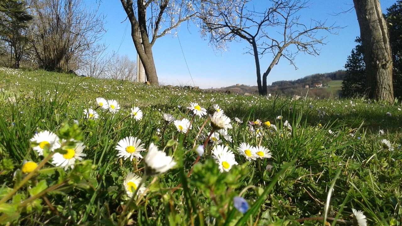 Photo of Outdoor in Salsomaggiore Terme