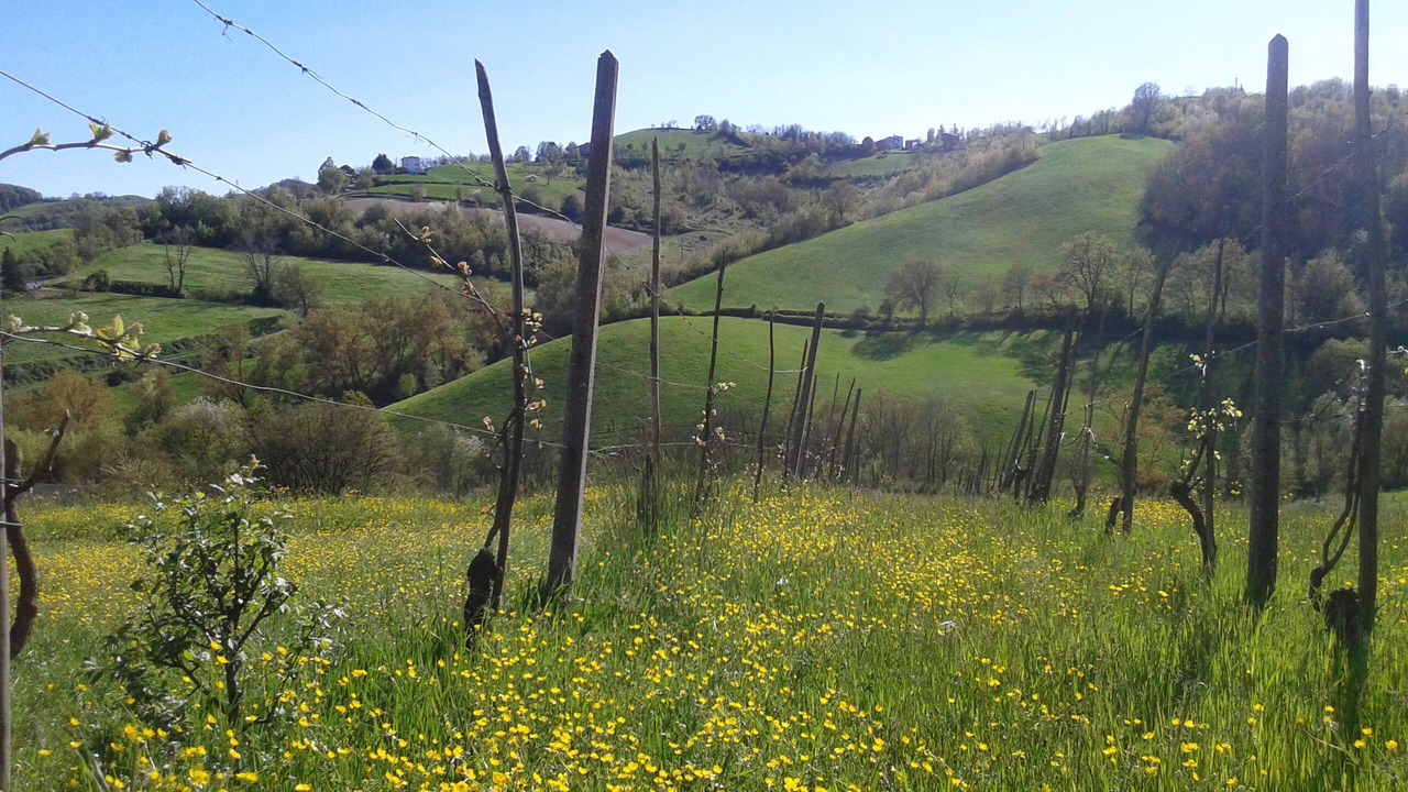 Photo of Outdoor in Salsomaggiore Terme