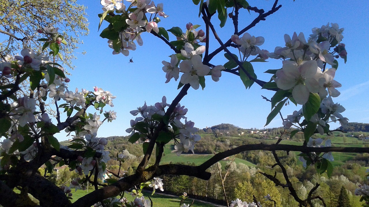 Photo of Outdoor in Salsomaggiore Terme