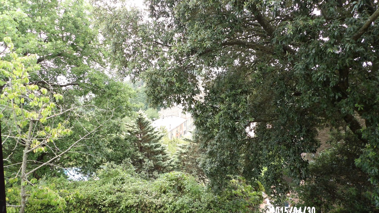 Photo of Outdoor in Chiusdino