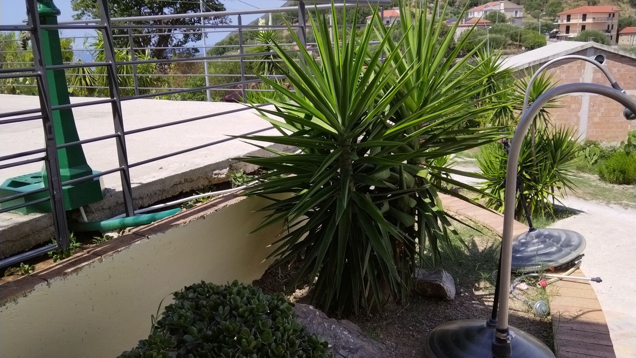Photo of Outdoor in Pisciotta
