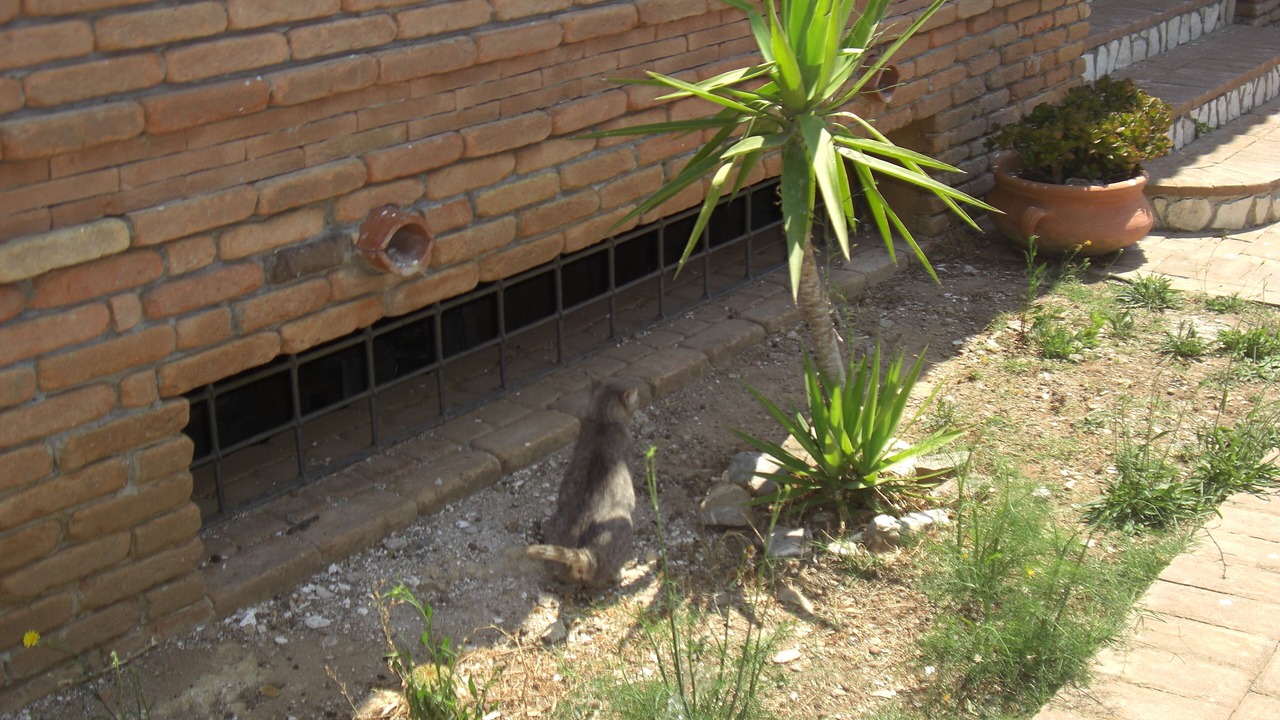 Photo of Outdoor in Pisciotta