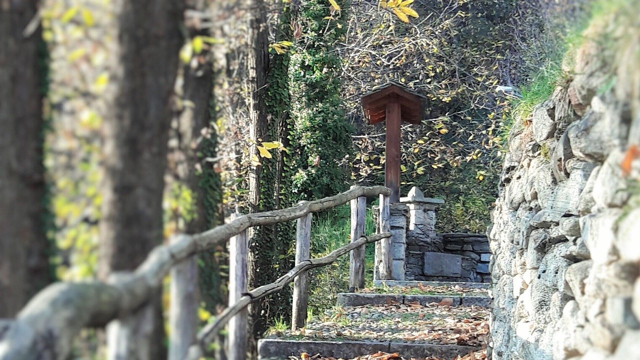 Photo of Outdoor in Chiavenna