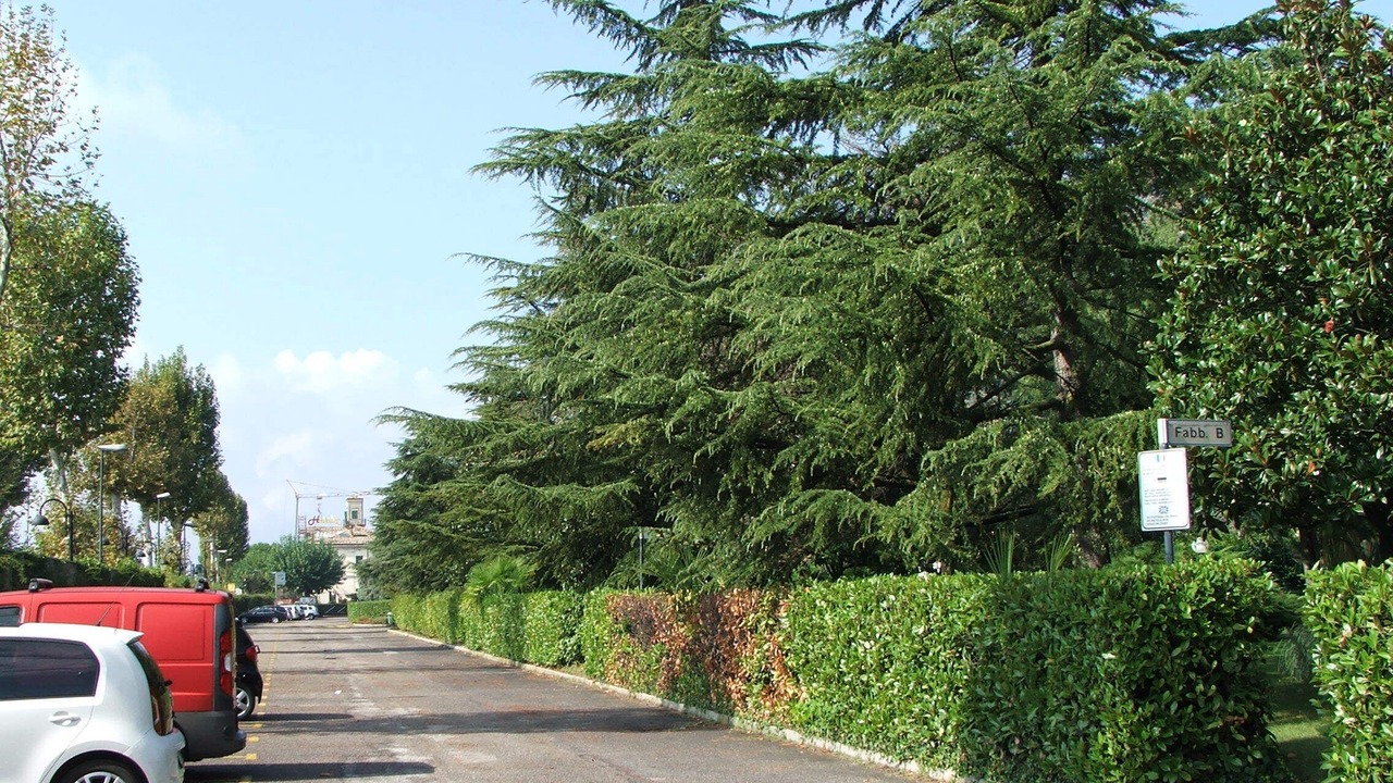 Photo of Outdoor in San Benedetto di Lugana