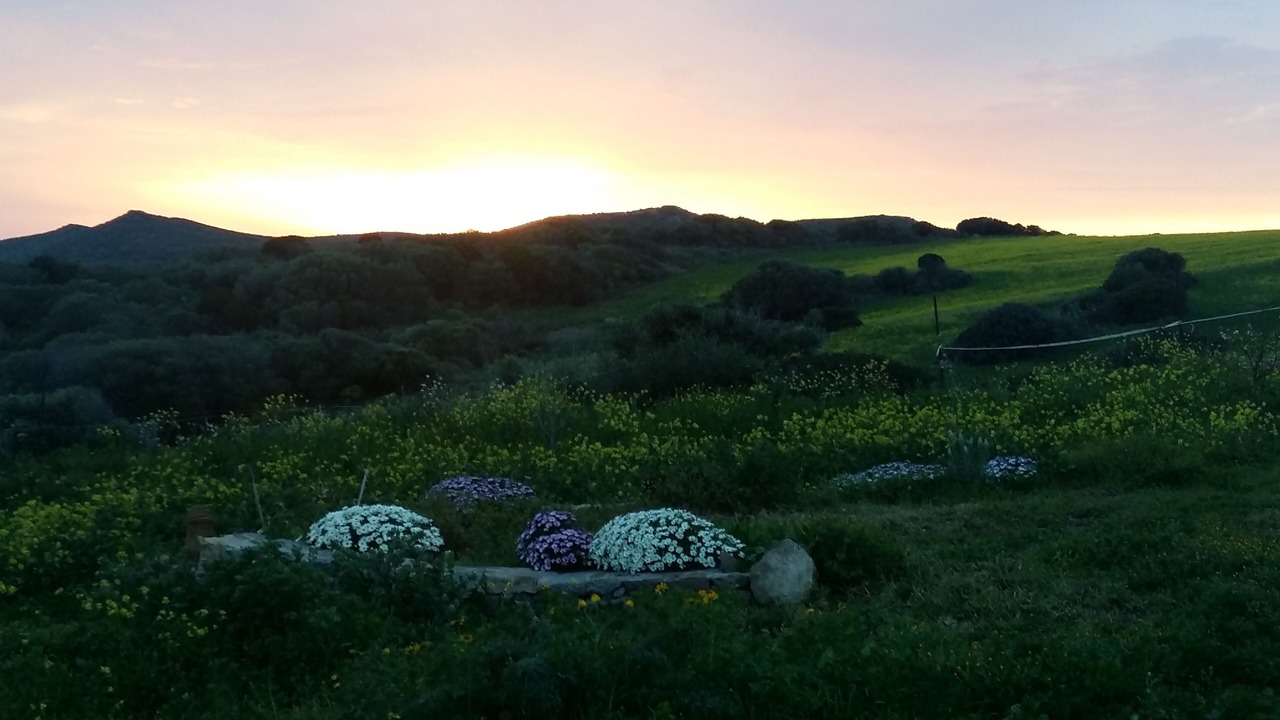 Photo of Outdoor in Sant'Antioco