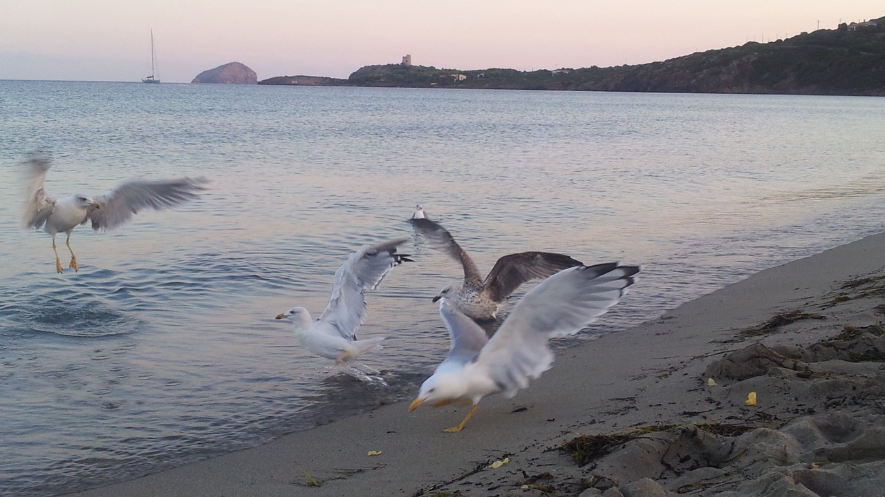 Photo of Others in Sant'Antioco