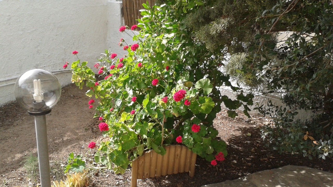 Photo of Outdoor in Torre delle Stelle