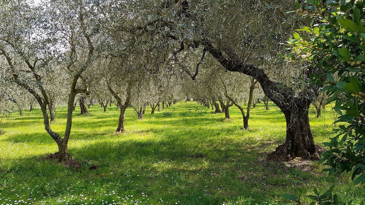 Photo of Outdoor in Gavorrano