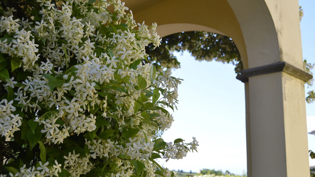 Photo of Outdoor in Gambassi Terme