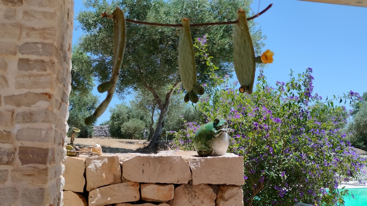 Photo of Outdoor in Castellana Grotte