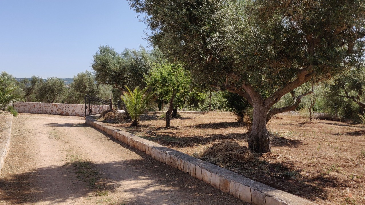 Photo of Outdoor in Castellana Grotte