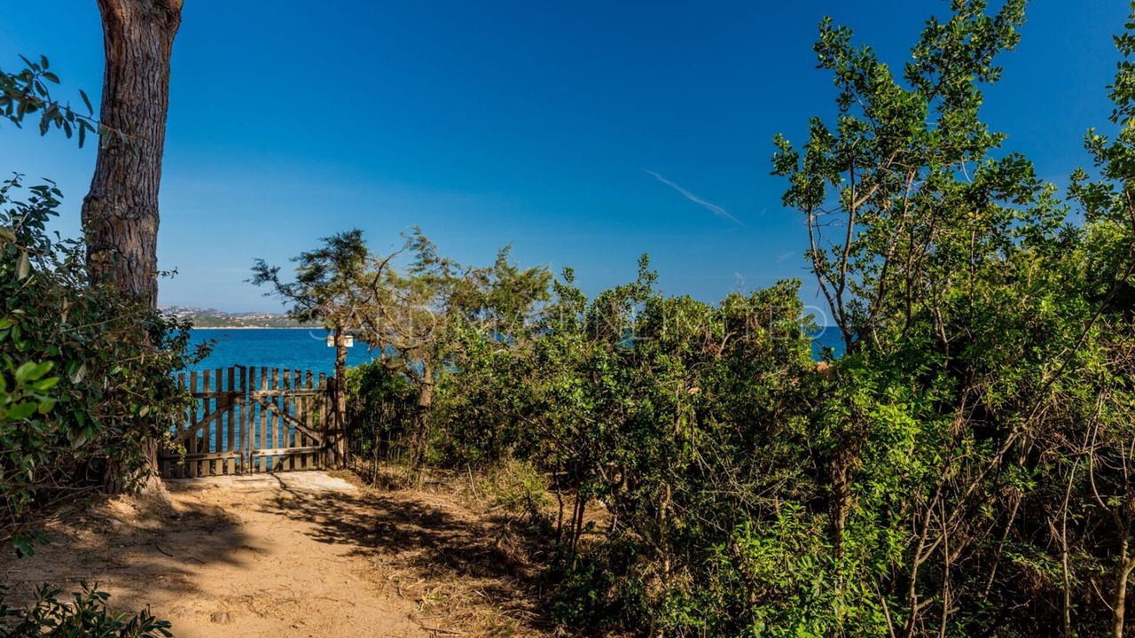 Photo of Outdoor in San Teodoro