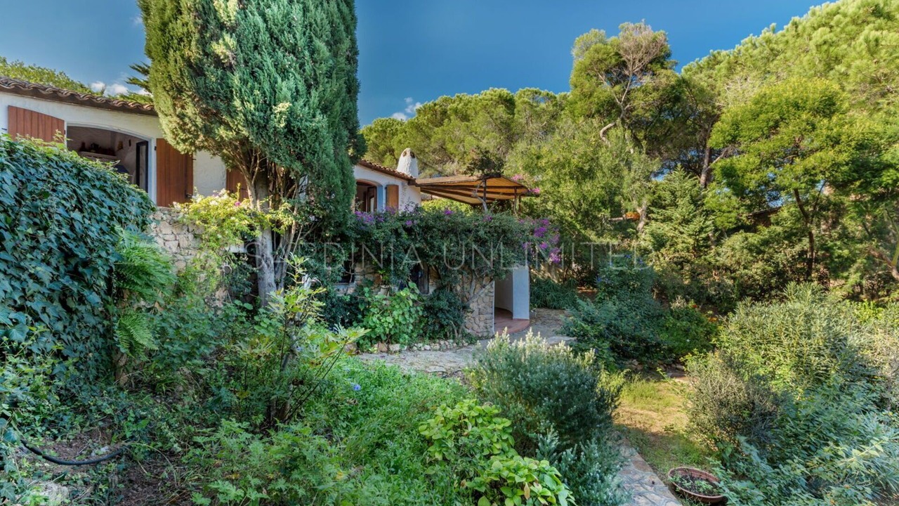 Photo of Outdoor in San Teodoro