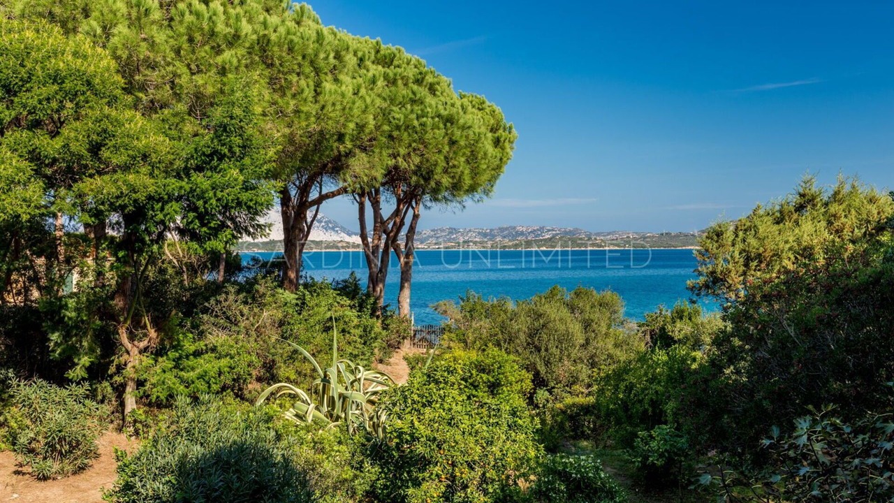 Photo of Outdoor in San Teodoro