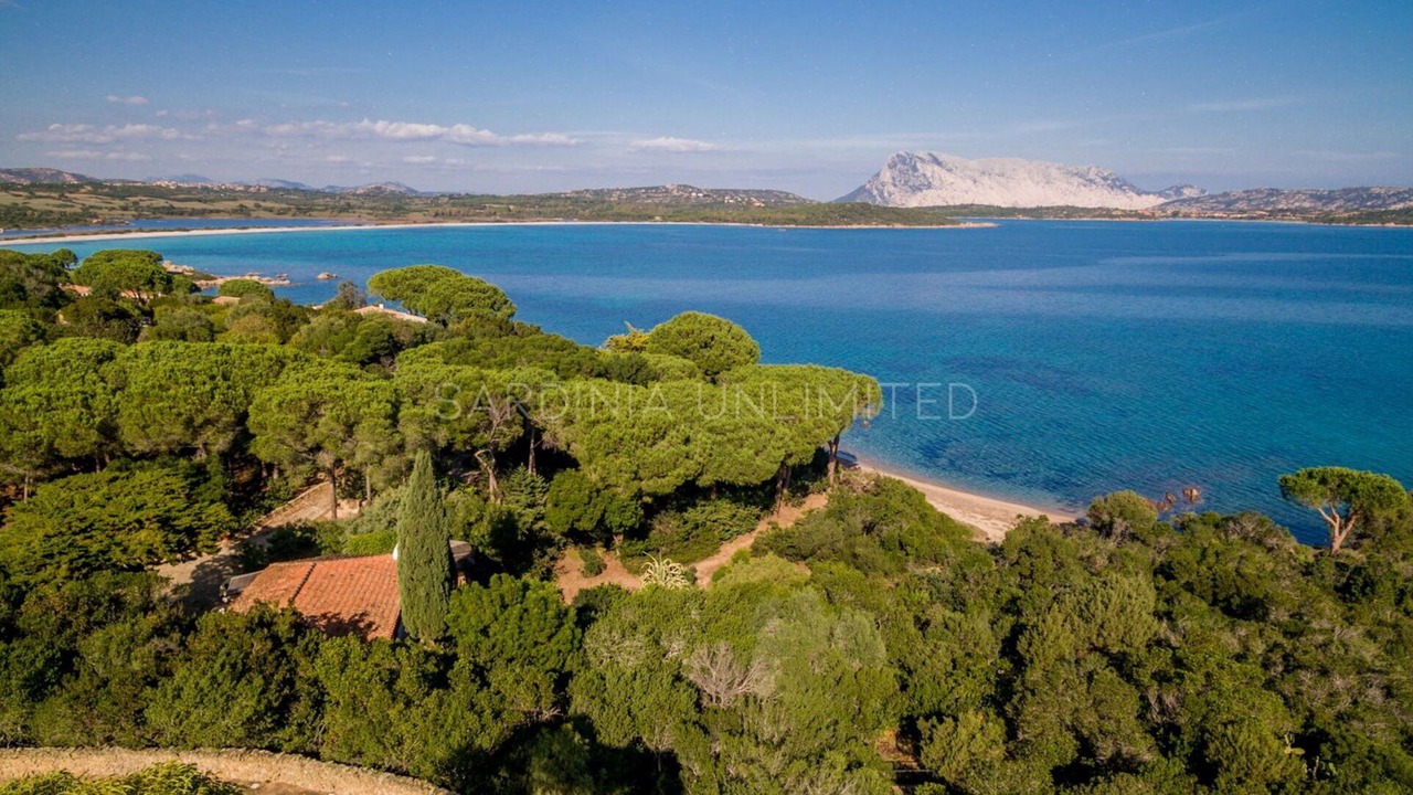 Photo of Outdoor in San Teodoro