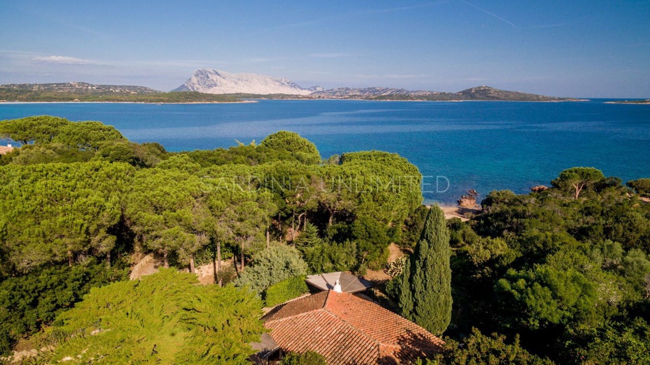 Photo of Outdoor in San Teodoro