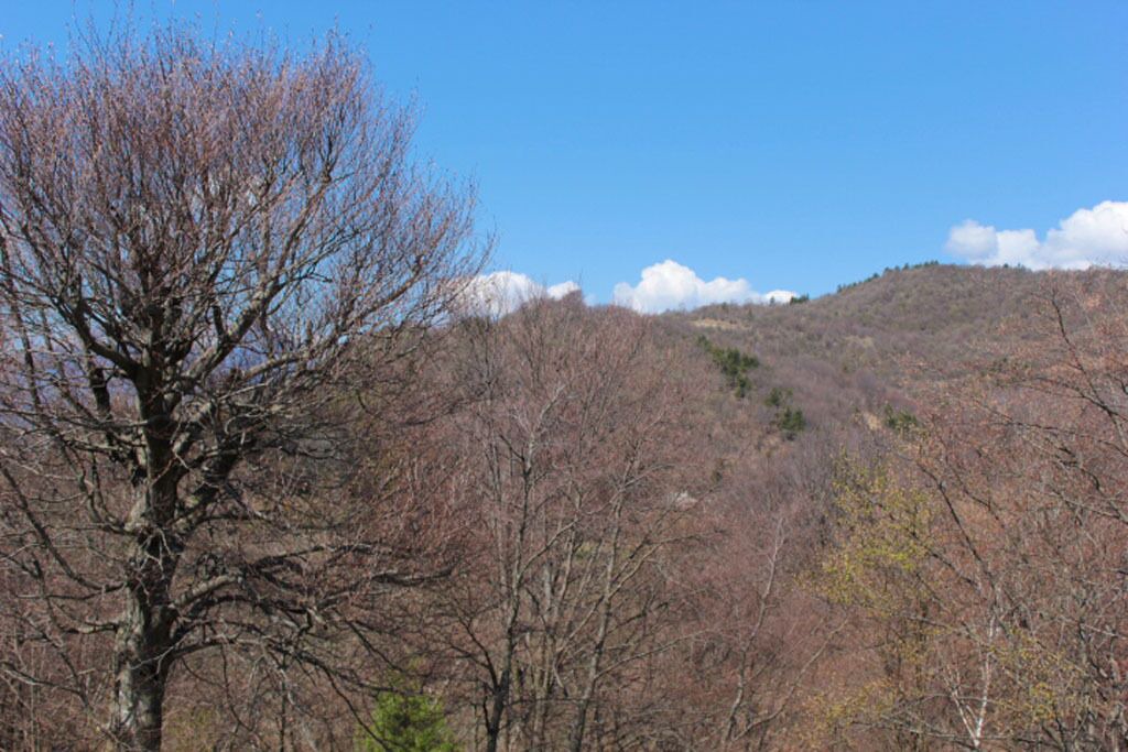 Photo of Outdoor in Esino Lario