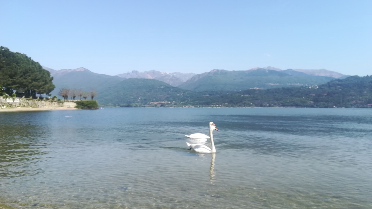 Photo of Others in Baveno