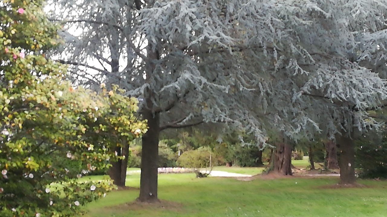 Photo of Outdoor in Baveno